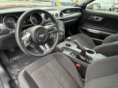 2022 Ford Mustang EcoBoost Fastback