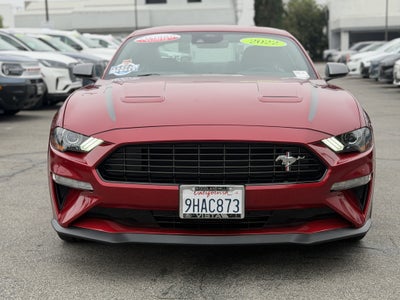 2022 Ford Mustang EcoBoost Fastback