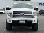 2009 Ford F-150 Platinum