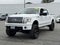 2009 Ford F-150 Platinum
