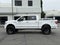 2009 Ford F-150 Platinum