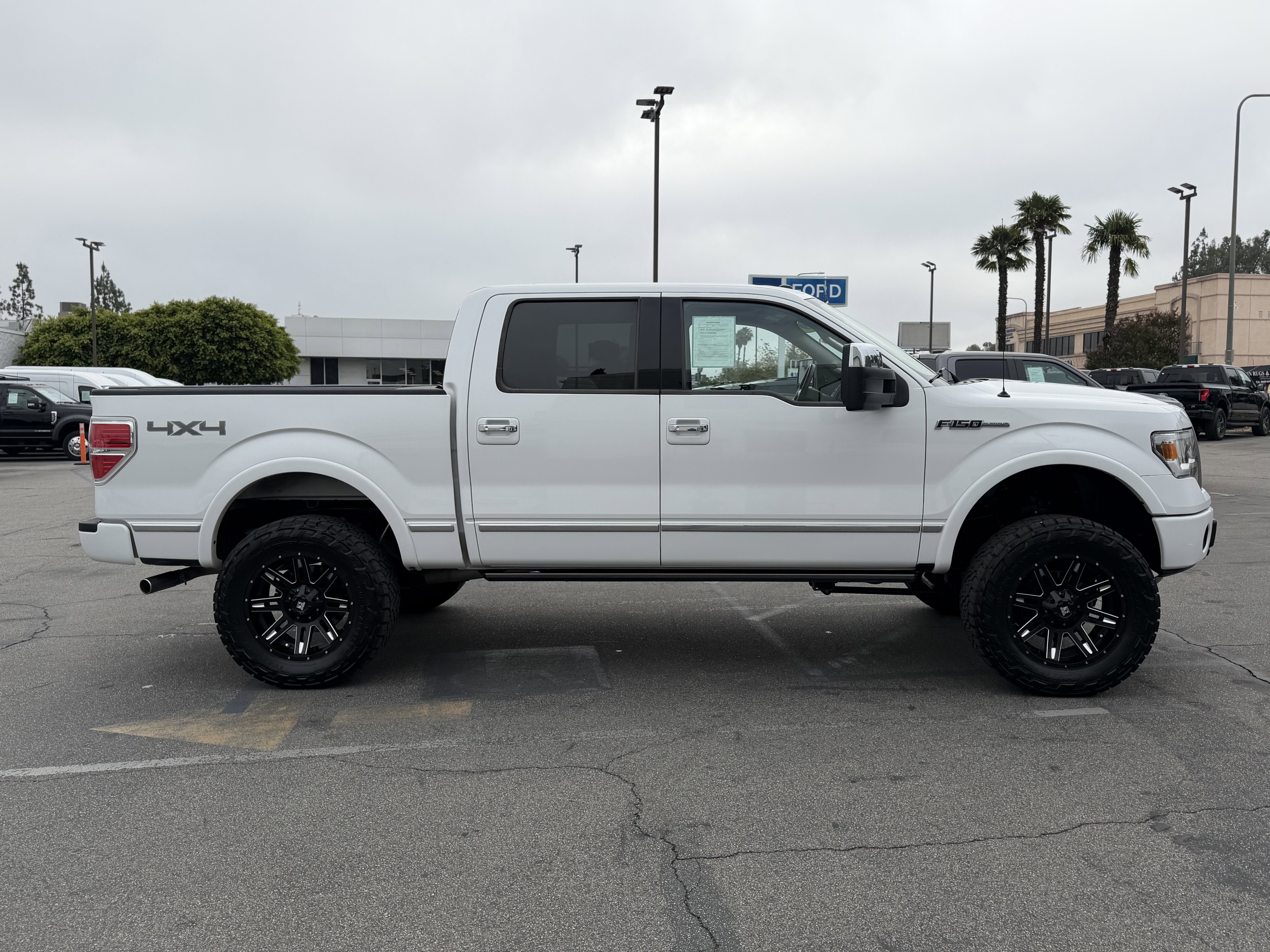 2009 Ford F-150 Platinum