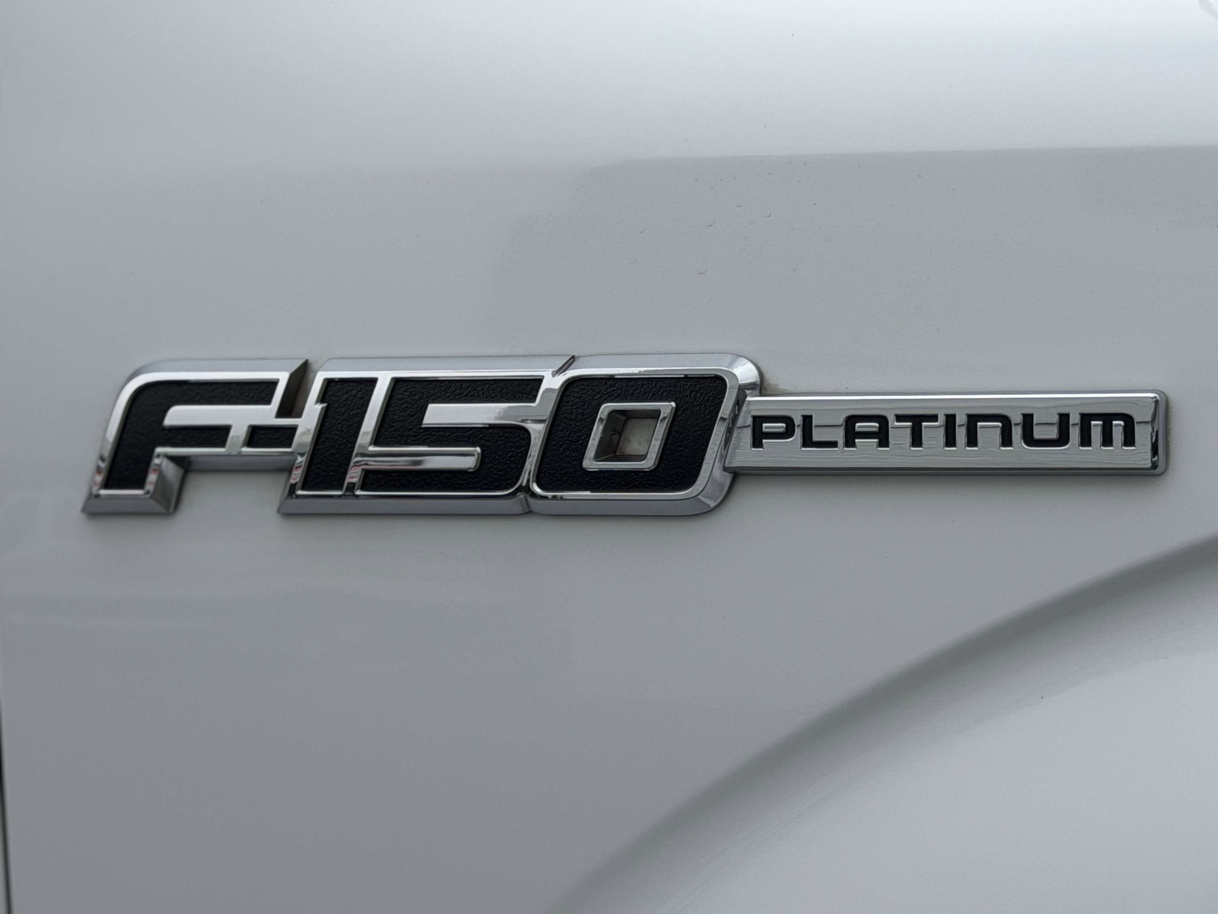 2009 Ford F-150 Platinum